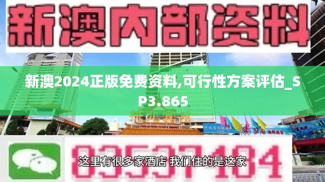 新澳2024正版免费资料,可行性方案评估_SP3.865