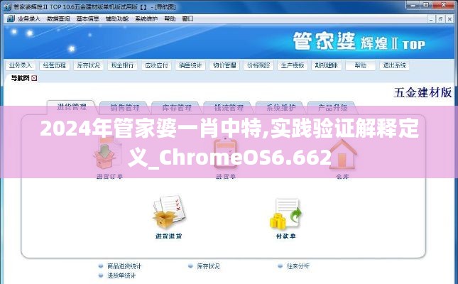 2024年管家婆一肖中特,实践验证解释定义_ChromeOS6.662