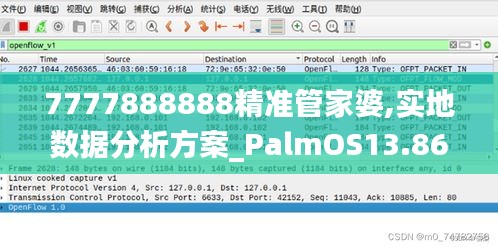 7777888888精准管家婆,实地数据分析方案_PalmOS13.865