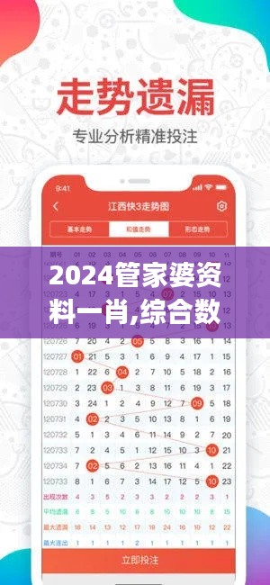 2024管家婆资料一肖,综合数据解释定义_专家版4.752