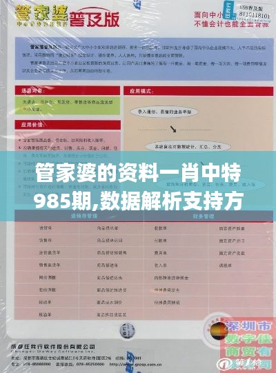 管家婆的资料一肖中特985期,数据解析支持方案_交互版11.947