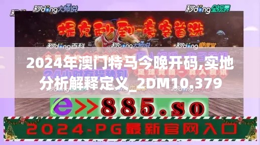 2024年澳门特马今晚开码,实地分析解释定义_2DM10.379