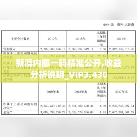 新澳内部一码精准公开,收益分析说明_VIP3.430