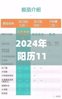 2024年12月6日 第44页