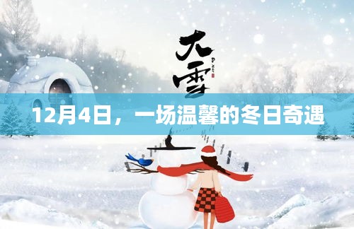 冬日奇遇，温馨时刻在12月4日