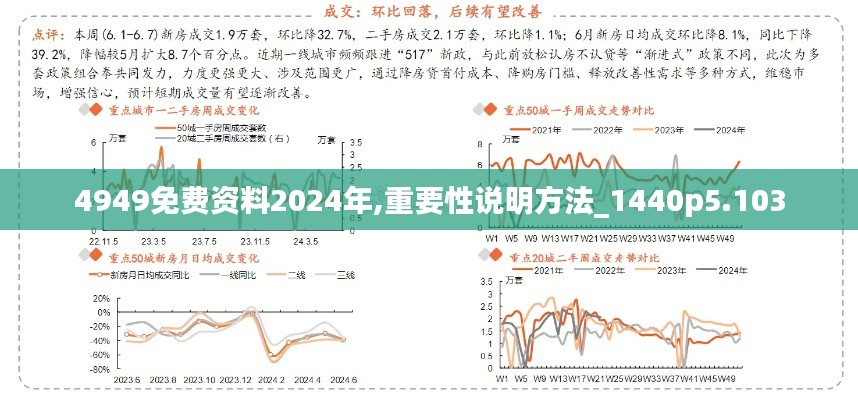 4949免费资料2024年,重要性说明方法_1440p5.103