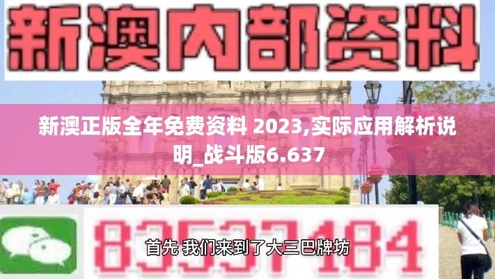 新澳正版全年免费资料 2023,实际应用解析说明_战斗版6.637