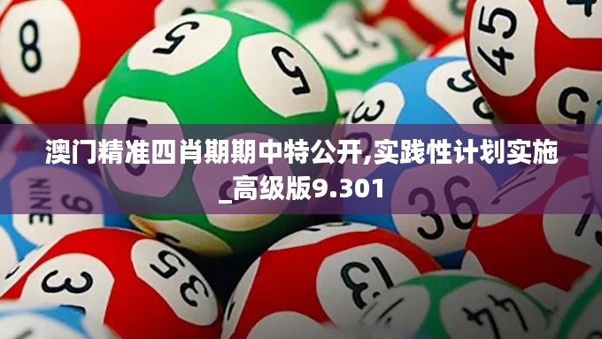 澳门精准四肖期期中特公开,实践性计划实施_高级版9.301