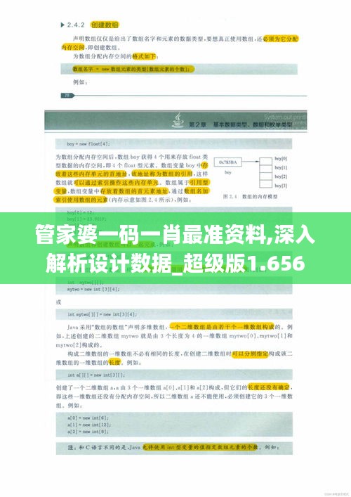 管家婆一码一肖最准资料,深入解析设计数据_超级版1.656