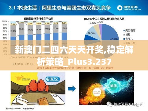 新澳门二四六天天开奖,稳定解析策略_Plus3.237