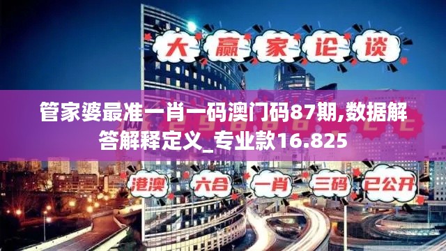 管家婆最准一肖一码澳门码87期,数据解答解释定义_专业款16.825