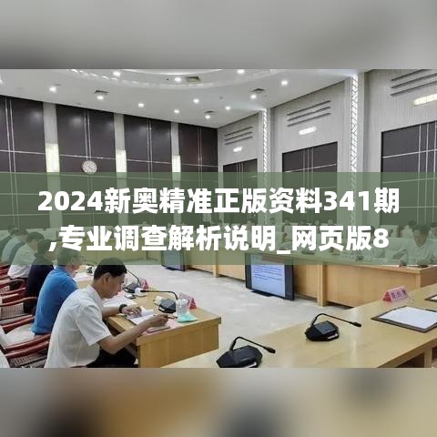 2024新奥精准正版资料341期,专业调查解析说明_网页版8.293