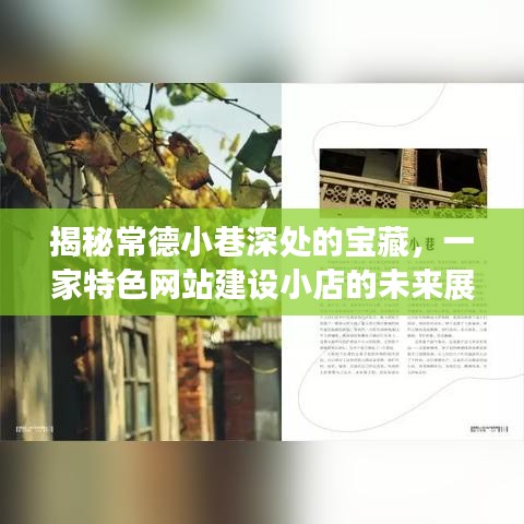 常德小巷深处的宝藏，特色网站建设小店的未来展望