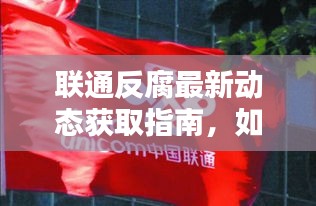 联通反腐最新动态及往年消息追踪指南，聚焦十二月四日反腐进展