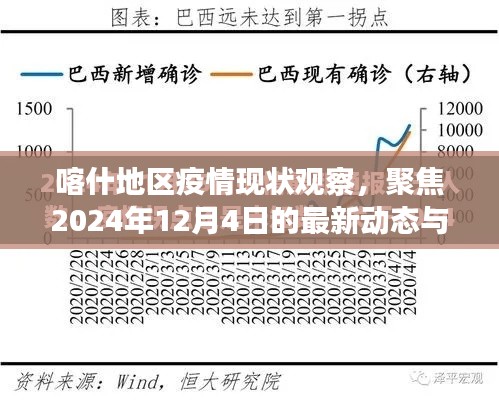 喀什地区疫情现状观察，聚焦2024年12月4日的最新动态与个人观点