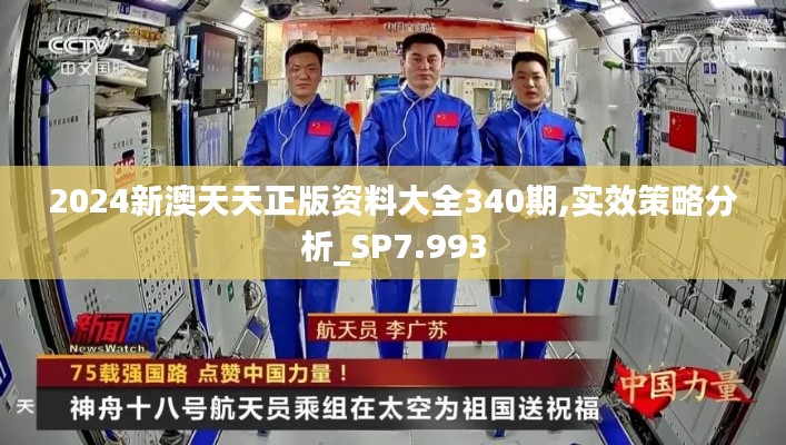 2024新澳天天正版资料大全340期,实效策略分析_SP7.993