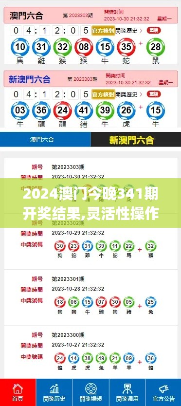 2024澳门今晚341期开奖结果,灵活性操作方案_L版1.556