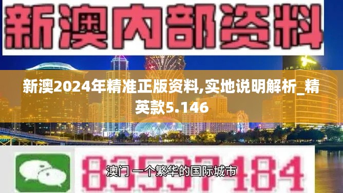 新澳2024年精准正版资料,实地说明解析_精英款5.146