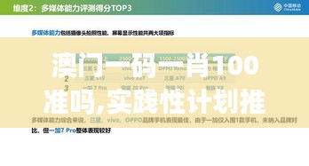 澳门一码一肖100准吗,实践性计划推进_移动版7.916