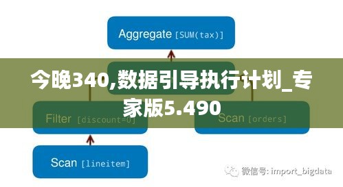 今晚340,数据引导执行计划_专家版5.490