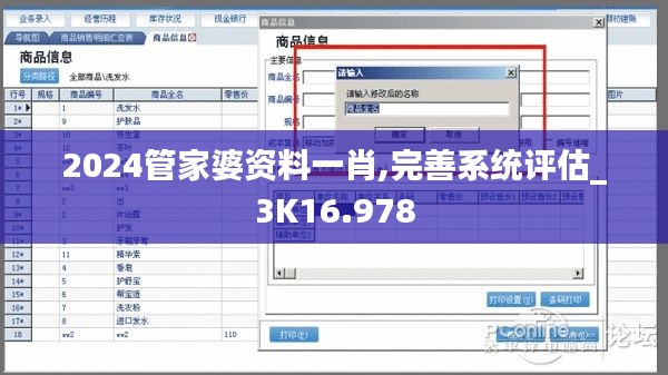 2024管家婆资料一肖,完善系统评估_3K16.978