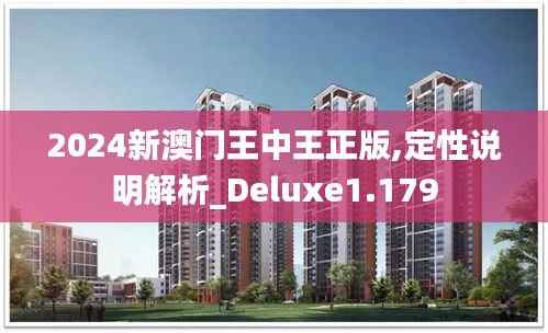 2024新澳门王中王正版,定性说明解析_Deluxe1.179