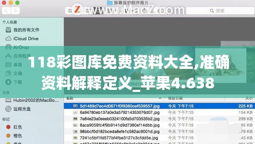 118彩图库免费资料大全,准确资料解释定义_苹果4.638