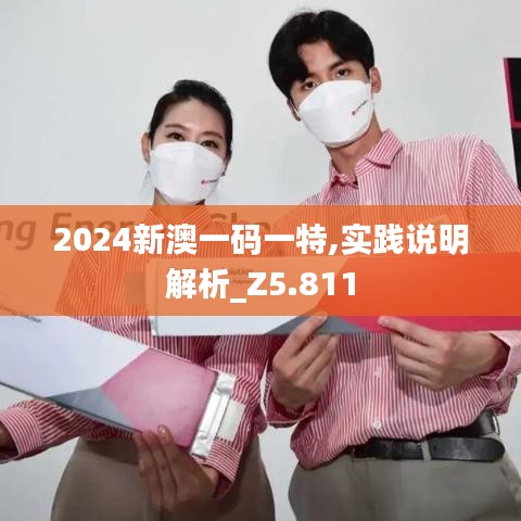 2024新澳一码一特,实践说明解析_Z5.811