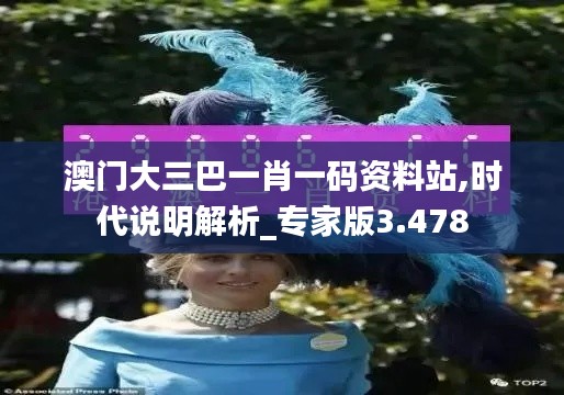 澳门大三巴一肖一码资料站,时代说明解析_专家版3.478