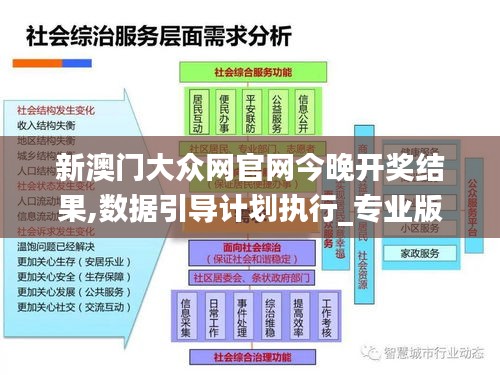 新澳门大众网官网今晚开奖结果,数据引导计划执行_专业版6.672