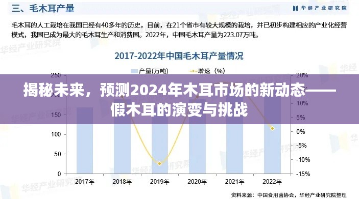 揭秘未来，预测2024年木耳市场的新动态——假木耳的演变与挑战