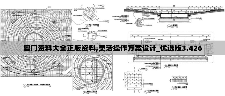 奥门资料大全正版资料,灵活操作方案设计_优选版3.426