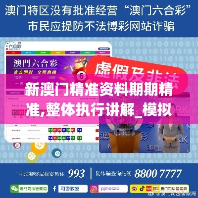 新澳门精准资料期期精准,整体执行讲解_模拟版11.542