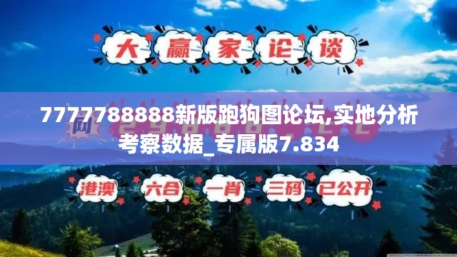 7777788888新版跑狗图论坛,实地分析考察数据_专属版7.834