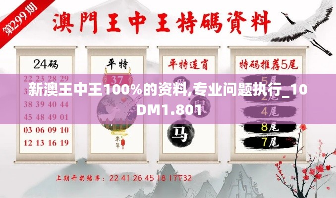 新澳王中王100%的资料,专业问题执行_10DM1.801