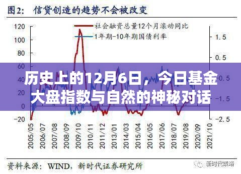 历史上的12月6日，基金大盘指数与自然神秘对话揭秘