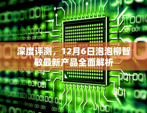 深度解析，泡泡柳智敏最新产品全面评测报告（12月6日）