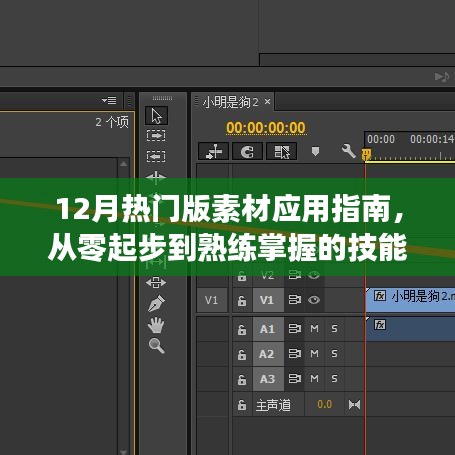 12月热门素材应用指南，零基础到熟练掌握的技能进阶