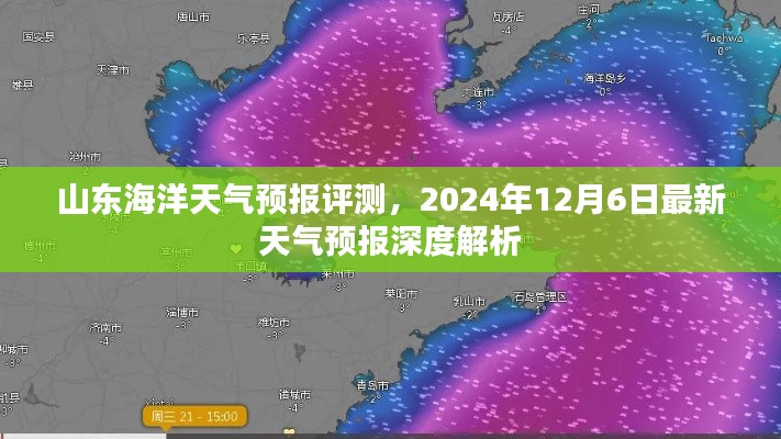 山东海洋天气预报评测，深度解析最新天气预报（2024年12月6日）