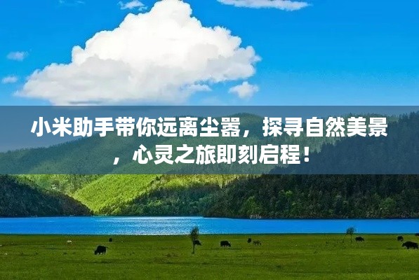 小米助手带你远离尘嚣，探寻自然美景，心灵之旅即刻启程！