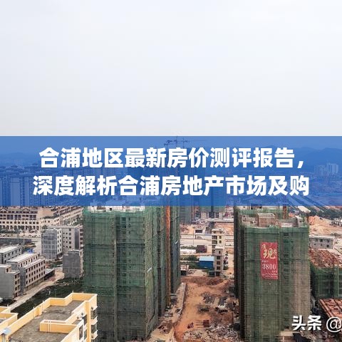 合浦地区最新房价测评深度报告，市场分析与购房体验解析