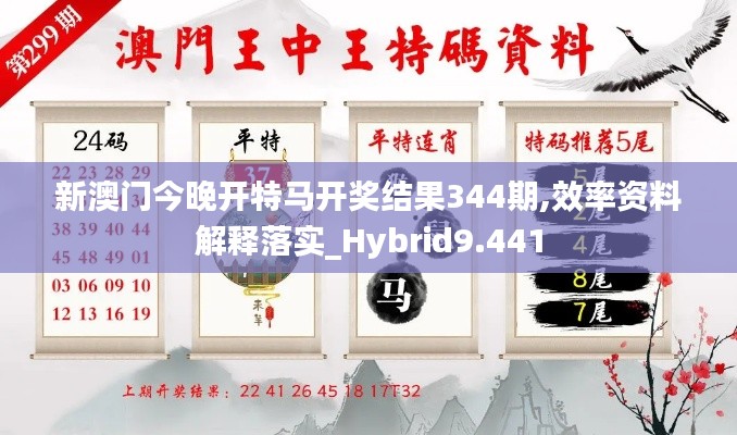 新澳门今晚开特马开奖结果344期,效率资料解释落实_Hybrid9.441