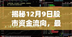 揭秘股市资金流向，最新数据解析与市场洞察（12月9日）