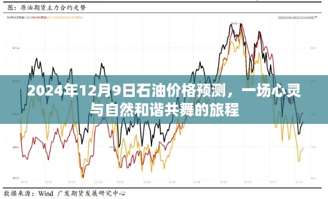 2024年石油价格预测，心灵与自然和谐共舞的未来展望