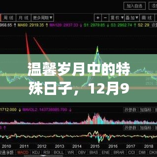 温馨岁月中的特殊日子，揭秘12月9日的新闻故事