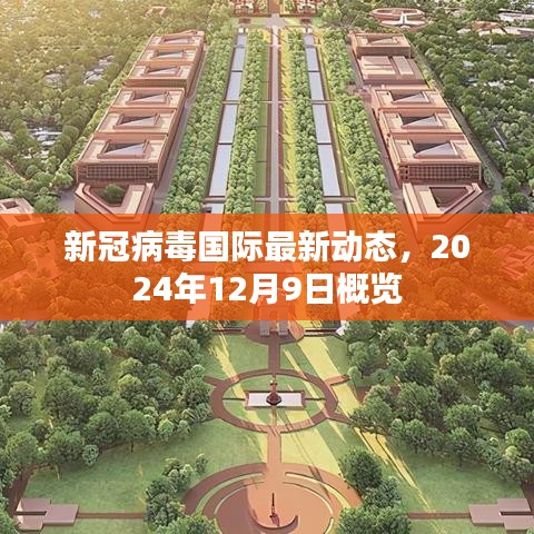 新冠病毒国际最新动态简报，2024年12月9日概览