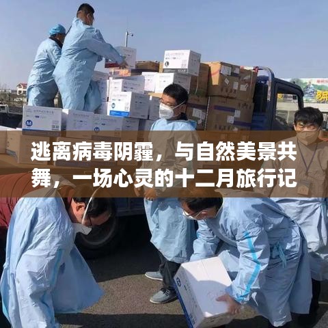 心灵逃离之旅，十二月自然美景中的病毒阴霾消散记