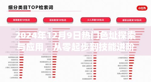 2024年热门色址探索与应用，从入门到进阶的详细指南