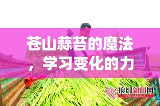 苍山蒜苔的魔力，自信成就之路与变化的力量学习记