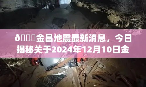 揭秘金昌地震最新动态，关于未来日期的预测与最新消息